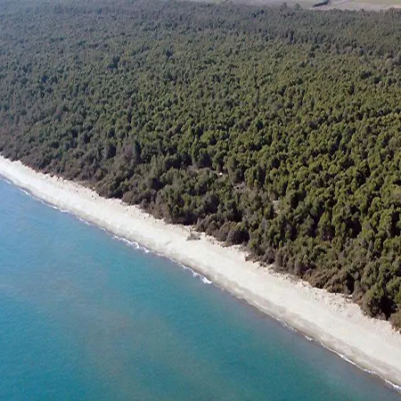 Argonauti Bilo Metaponto